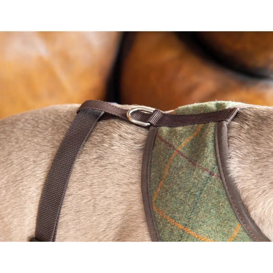 Digby & Fox Tweed Dog Harness