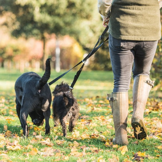 Mikki: Multi Lead 3/4