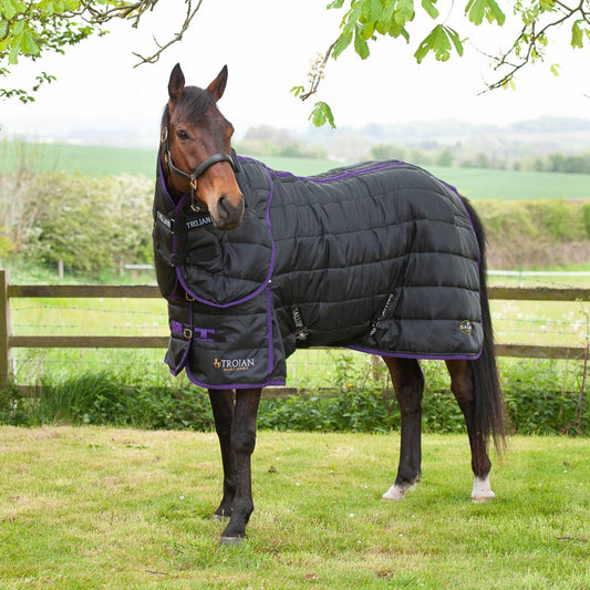 Gallop Trojan Dual Stable 200g Rug & Neck Set