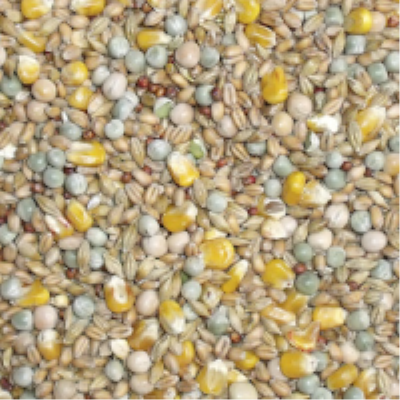 Widmer Every Seasons Resting Pigeon Corn 20kg