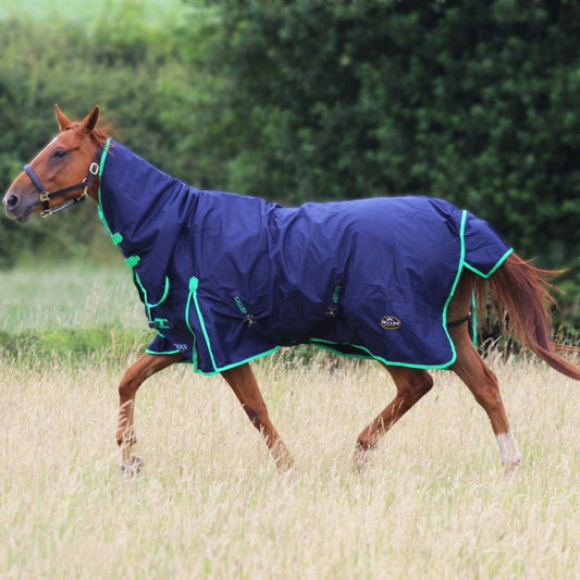 Gallop No Fill Combo Turnout