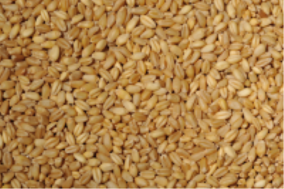 Widmer: Whole Wheat 3kg