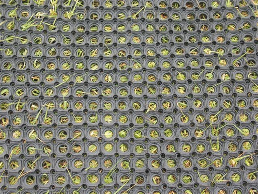 Rubber Ground RING Matting1.5mx1mx22mm 6+ Collected