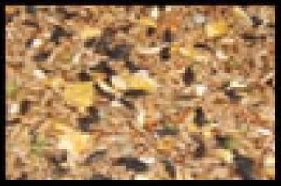 Widmer Country Value Range Wild Bird