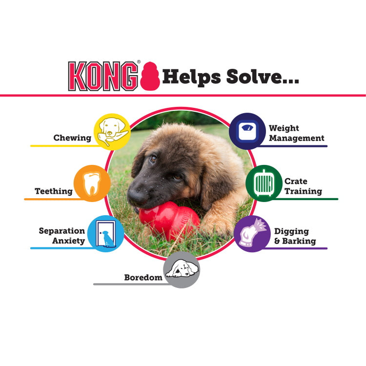 Kong: Classic Red XSmall