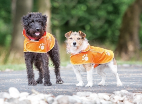 Bridleway Visibility Dog Coat Orange