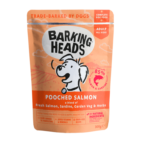 B''Heads: Pouch Pooched Salmon 300gm