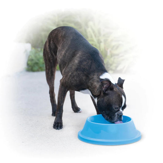K&H: Coolin Bowl Sky Blue 32oz