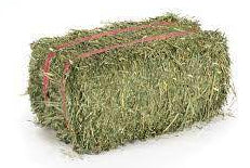 Hay: Single Bale
