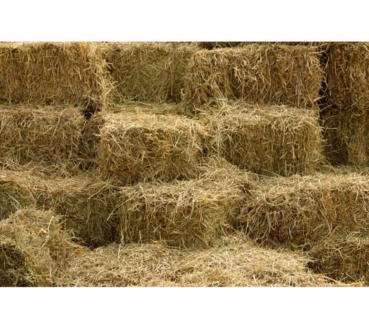 Hay Bale Single