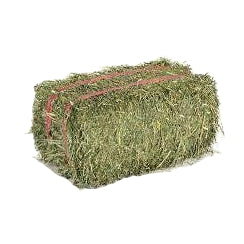 Hay: Single Bale
