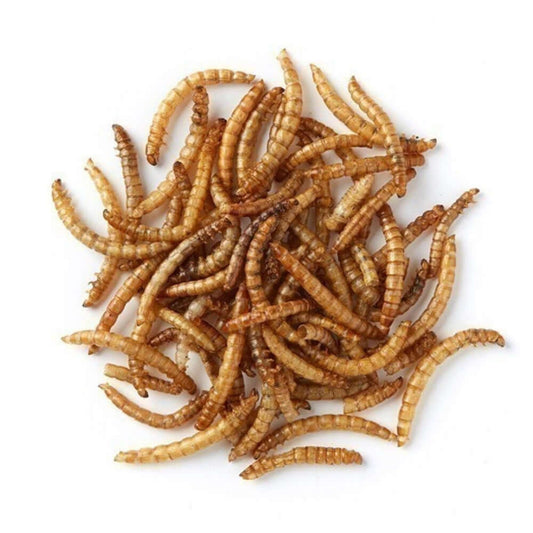 Extra Select: Mealworms 3ltr