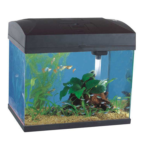 Fish Tank - Rectangular 370