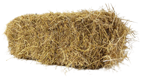 Straw: Single Bale